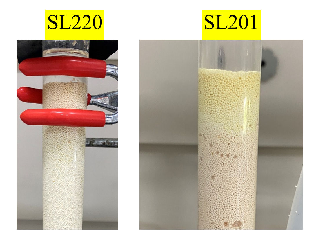 新宝GG「创造奇迹的游戏平台」