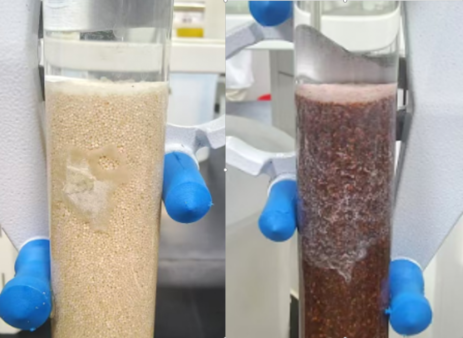 新宝GG「创造奇迹的游戏平台」