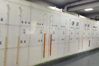 ��֬Ӧ�������о�