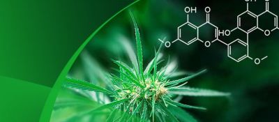 �±�gg�����漣ֲ����ȡ���ơ�ȥ��ũ��ר����֬��Ӧ��С����