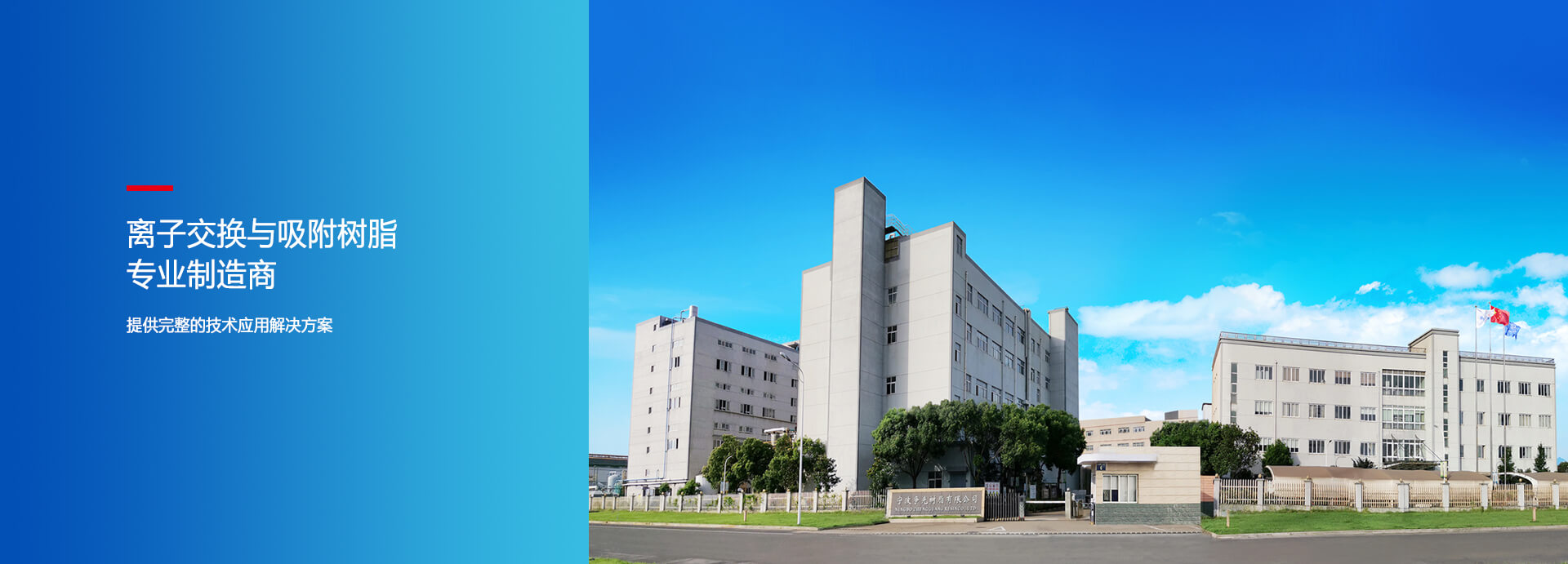 新宝gg创造奇迹